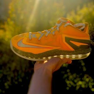 Nike lebron 11 low flordian